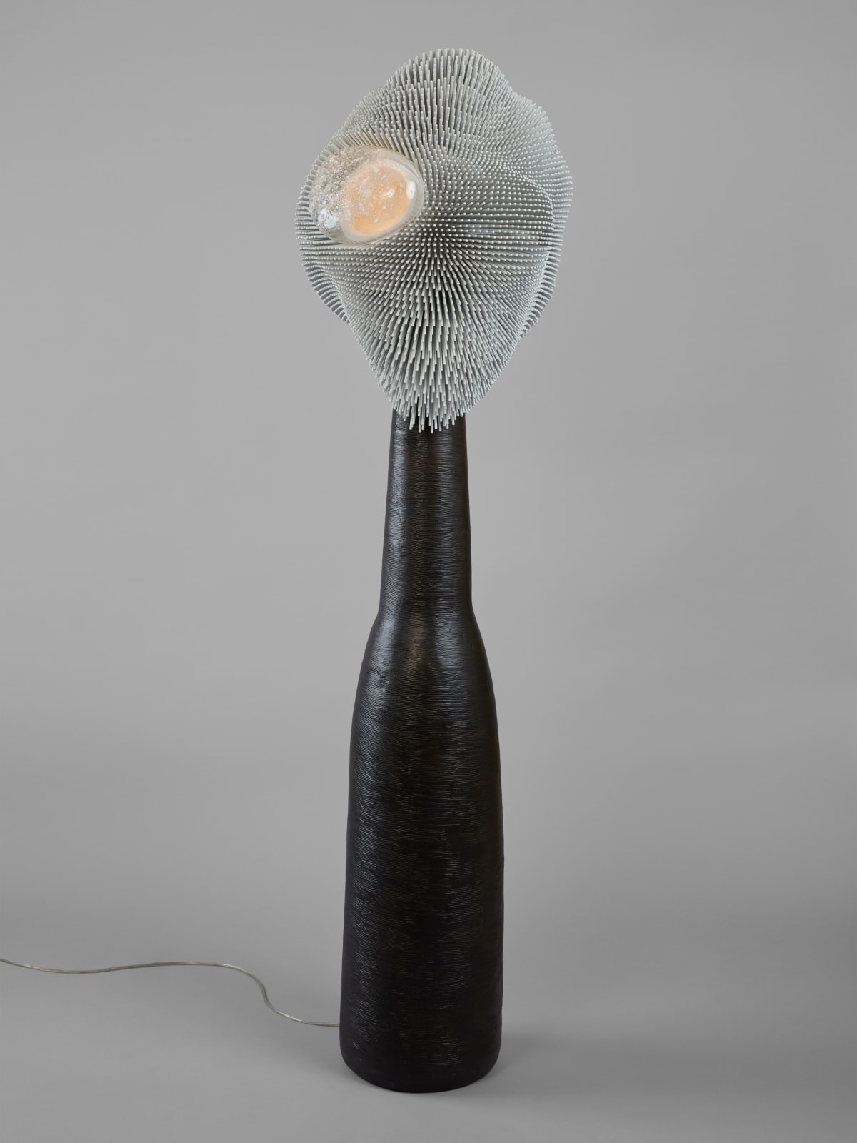 Pia Maria Raeder, Sea Anemone 12