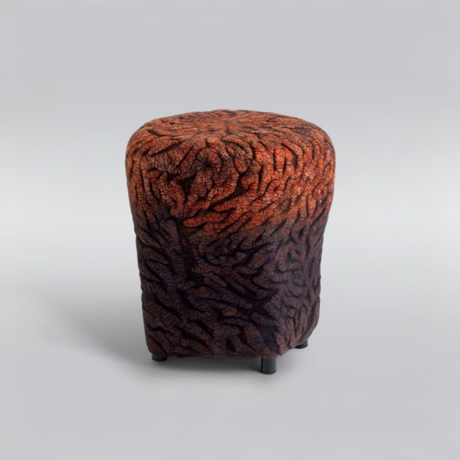 Ayala Serfaty, Shastool Will