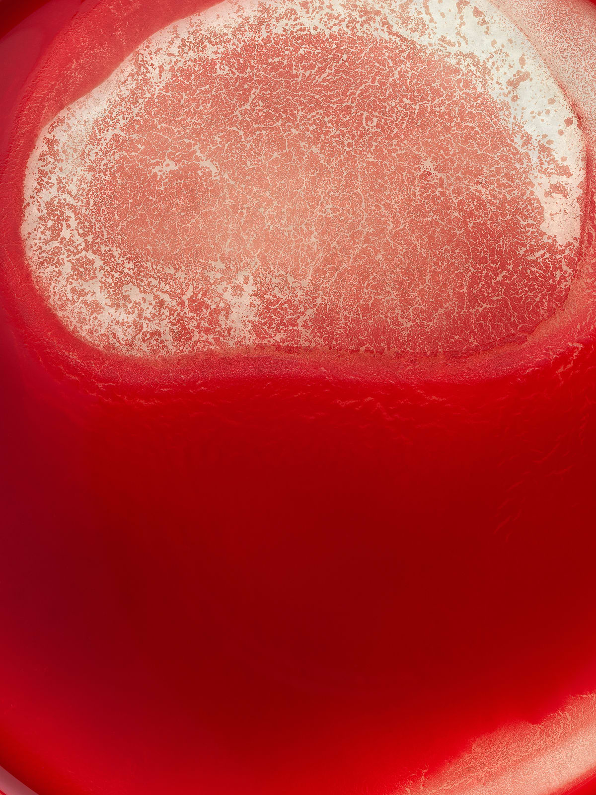 Alexandre Dufaye, Eternal Echoes #1, 2024