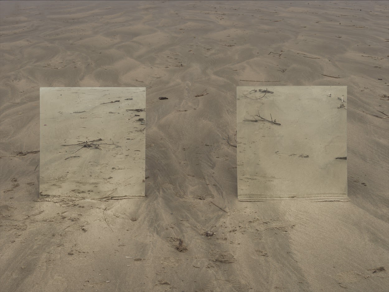 Alexandre DUFAYE, Retour sur terre, 2019