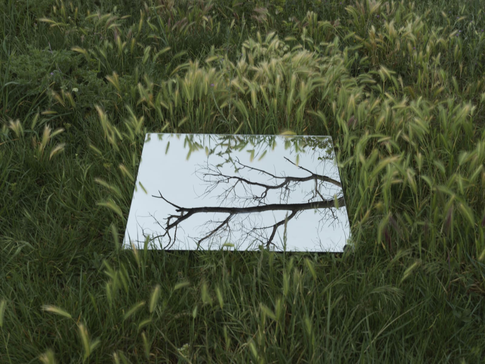 Alexandre DUFAYE, Retour sur Terre, 2019