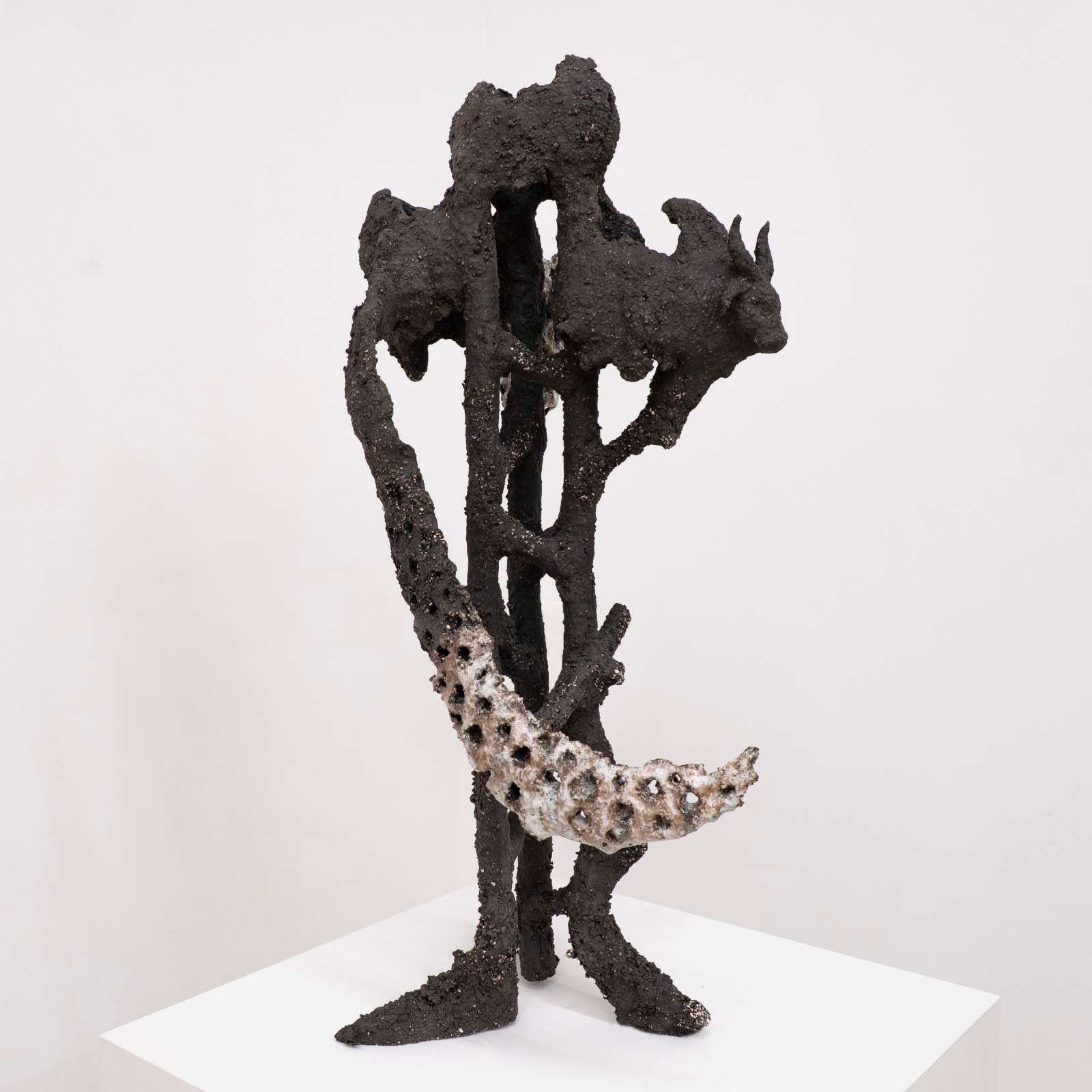 Gautier FERRERO, Kandola, 2025