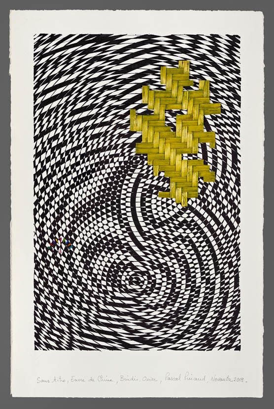 Pascal PINAUD, Sans Titre, Novembre 2009