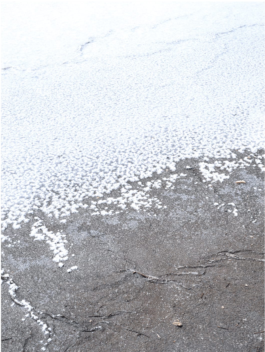 Alexandre DUFAYE, Repenser le vivant , 2021