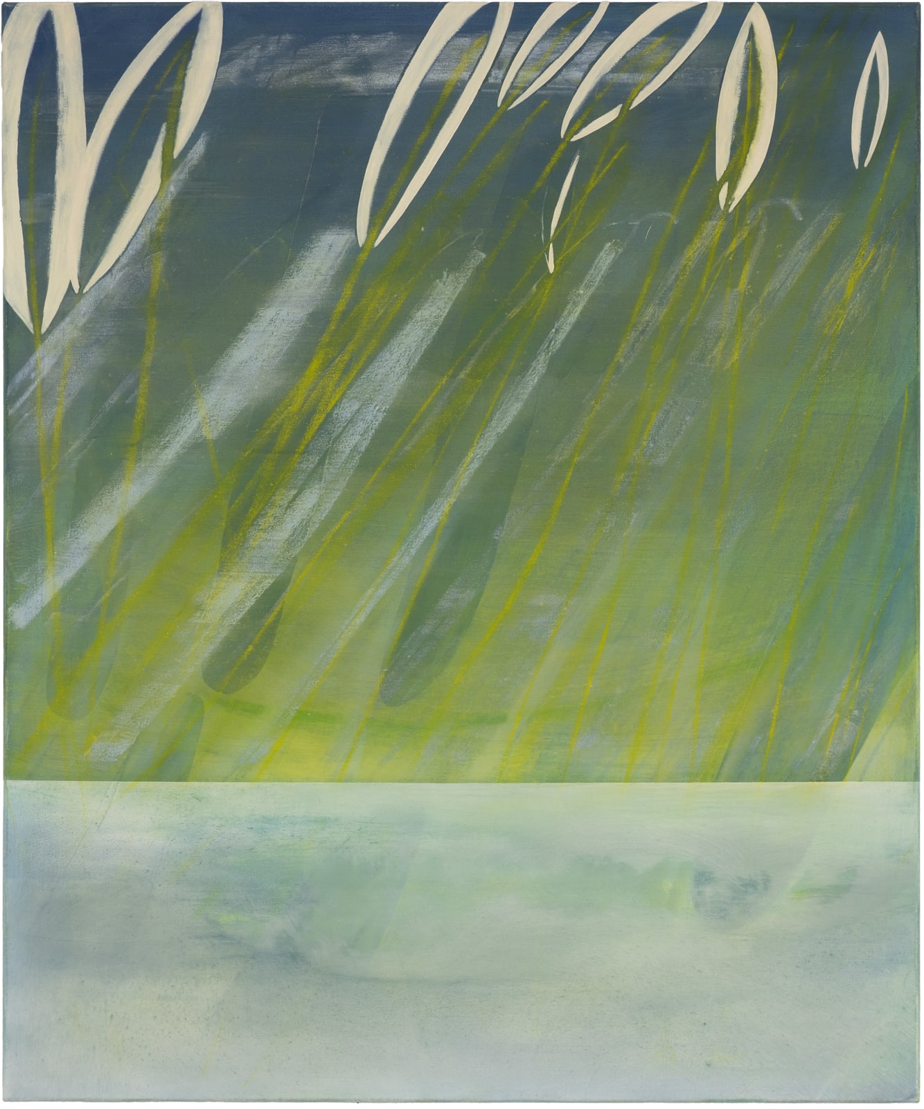 Anastasia INDUCHNAYA CARVALHO, Lac, 2024