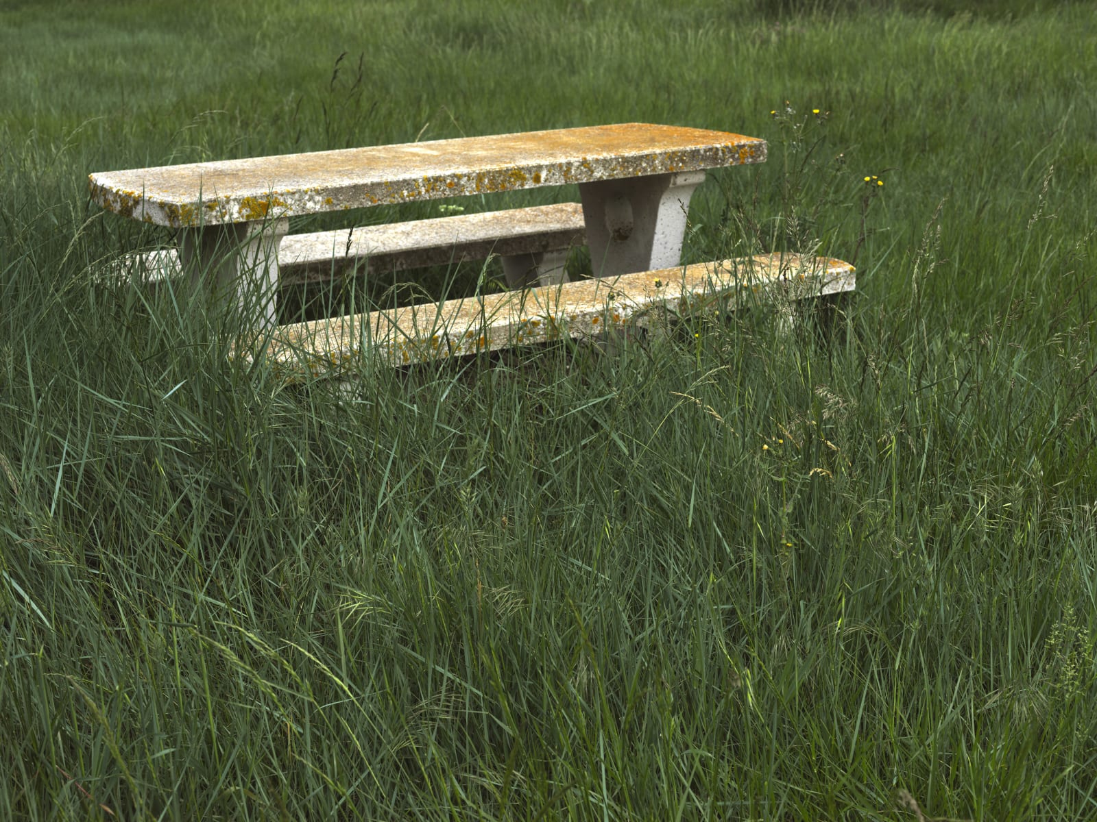 Alexandre DUFAYE, Retour sur Terre, 2019