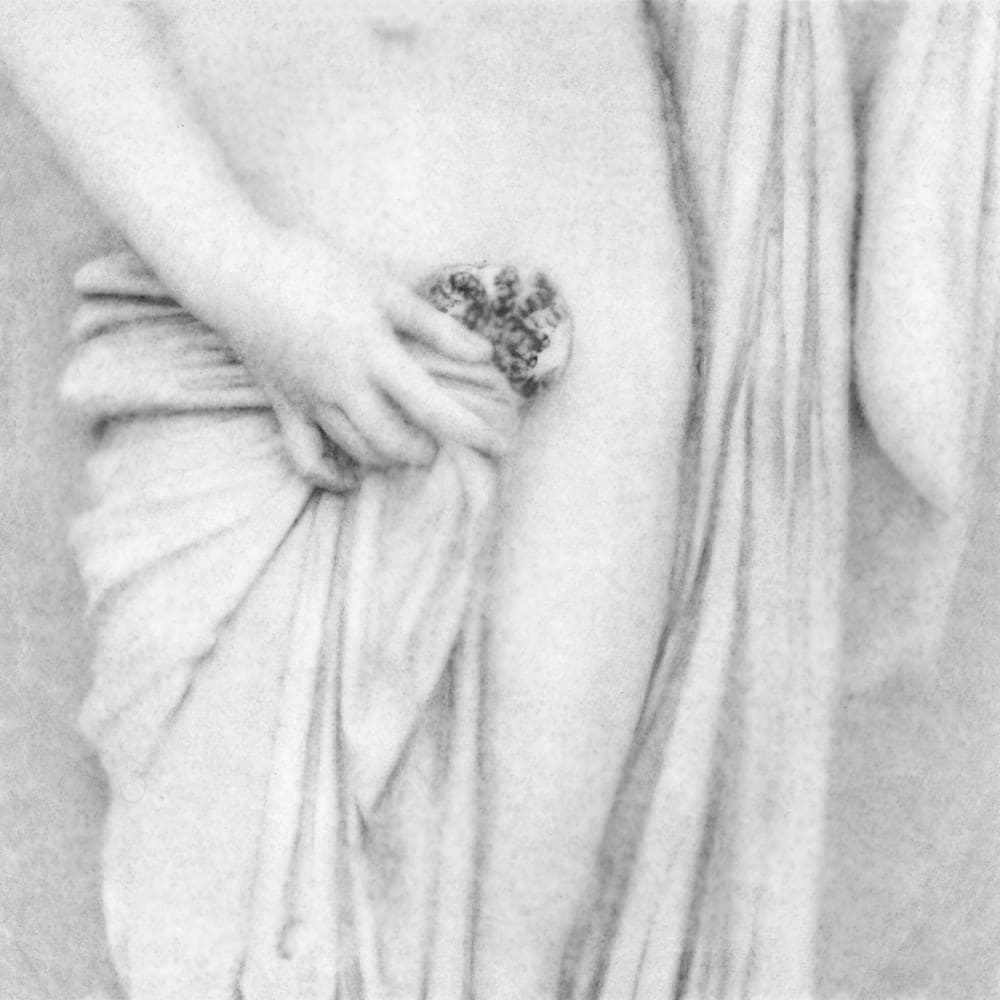 FLORE, Sans titre , 2024