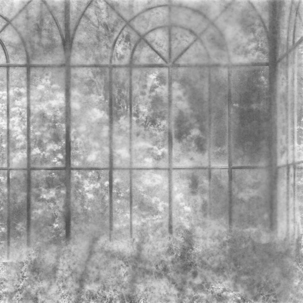 FLORE, Sans titre , 2024