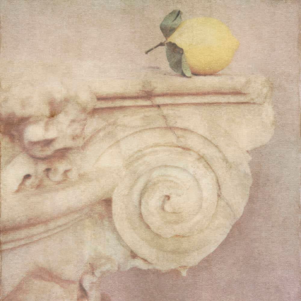 FLORE, Sans titre , 2024