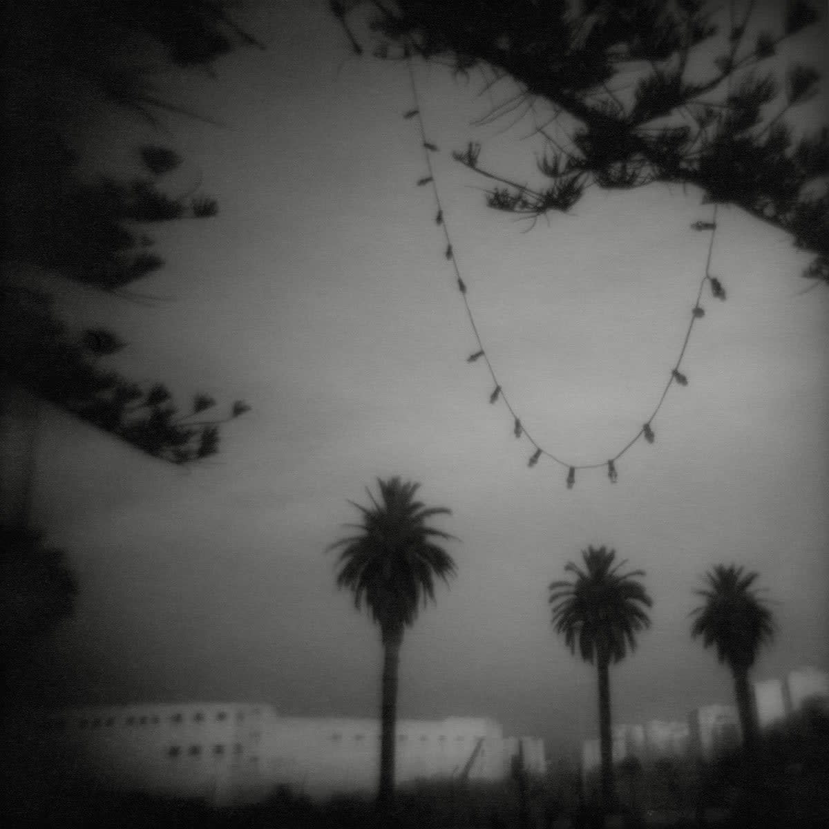 FLORE, Nuit d'été à Tanger, 2011