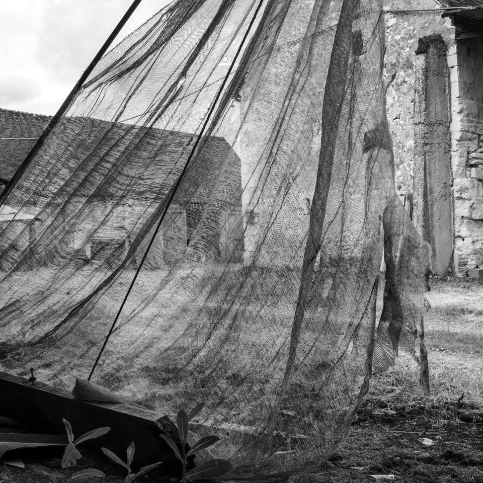 Anne Rearick, Madame Simone's Farm, 2021