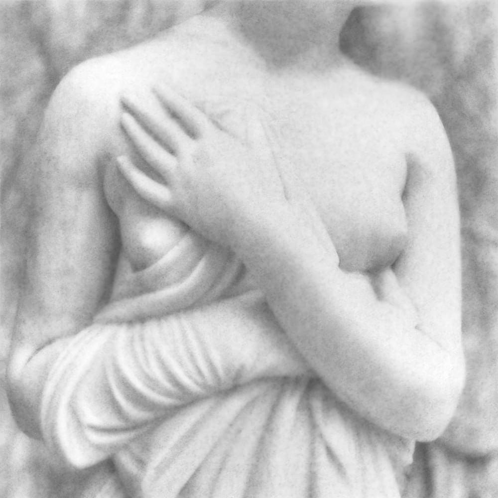 FLORE, Sans titre , 2012