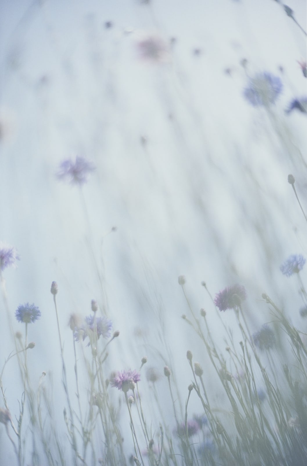 Mikiya Takimoto, LUMIÈRE #133