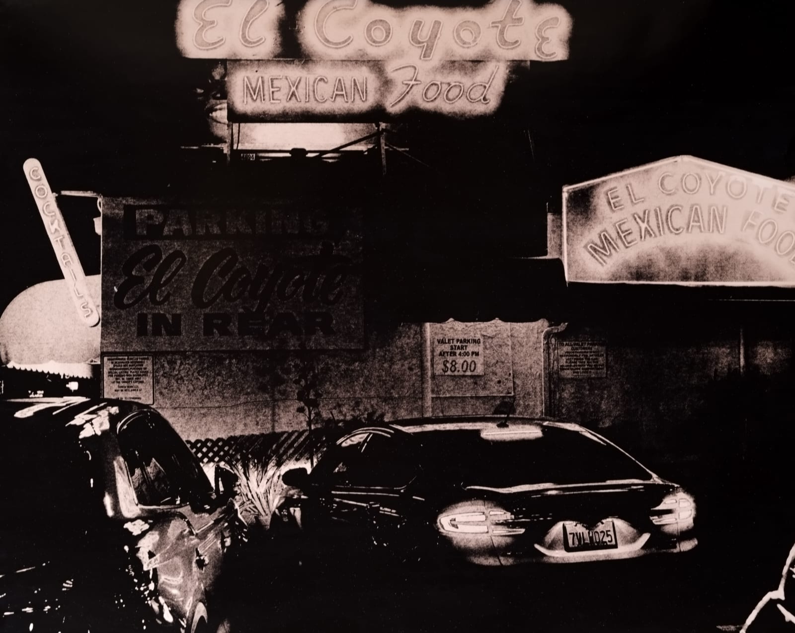 Guillaume Zuili, El Coyote, 2023