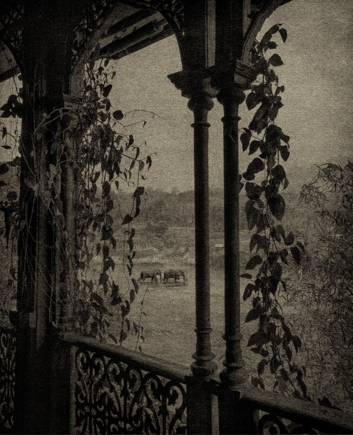 FLORE, La route des Indes , 2023