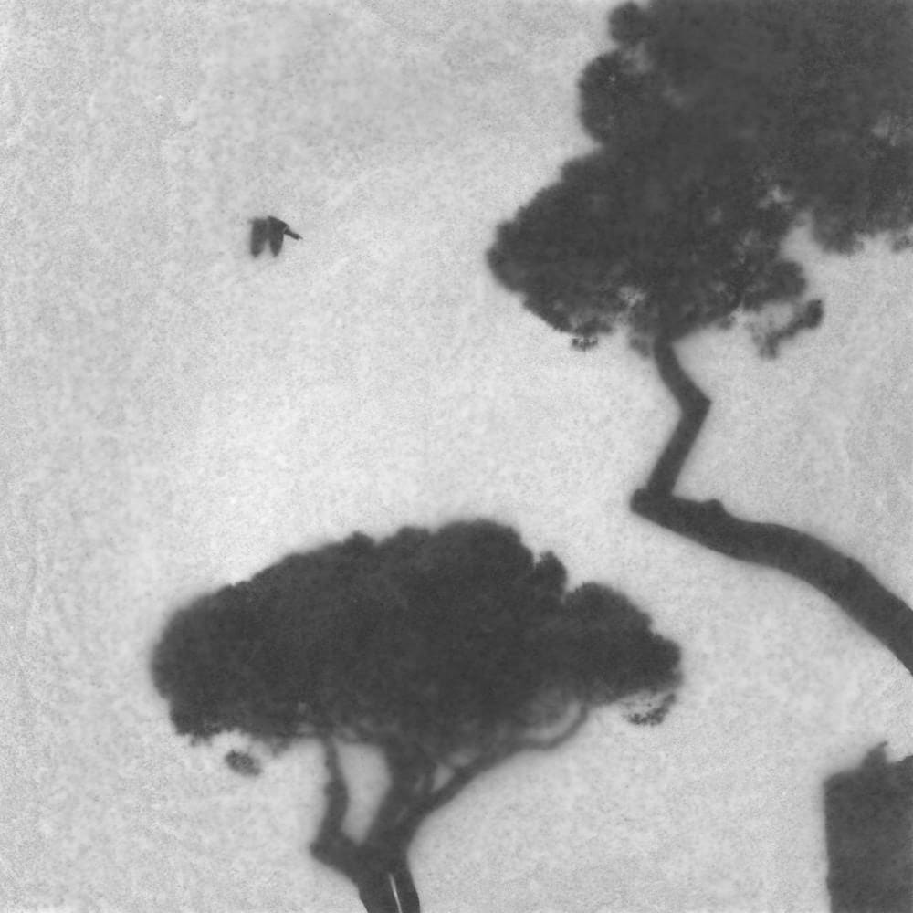 FLORE, Sans titre , 2024