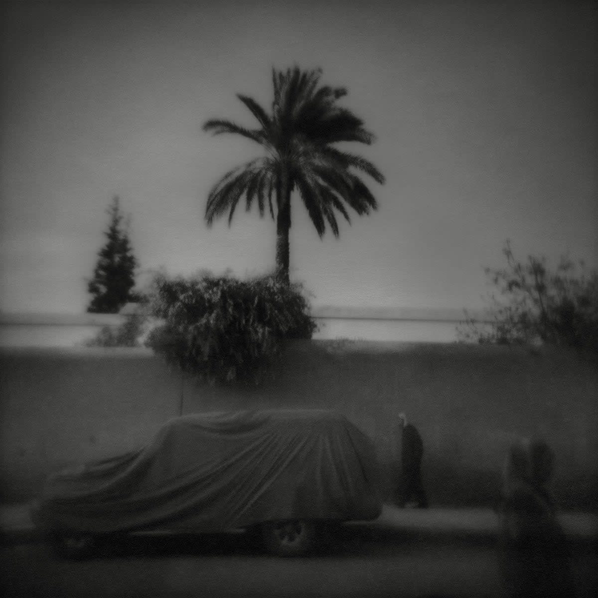 FLORE, Rue du Hammam, 2010