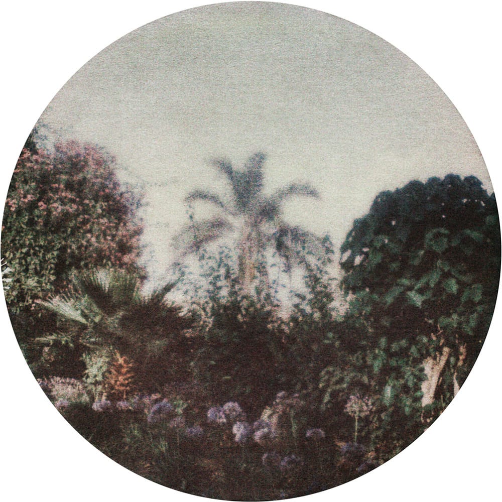 FLORE, Orient éternel, 2019