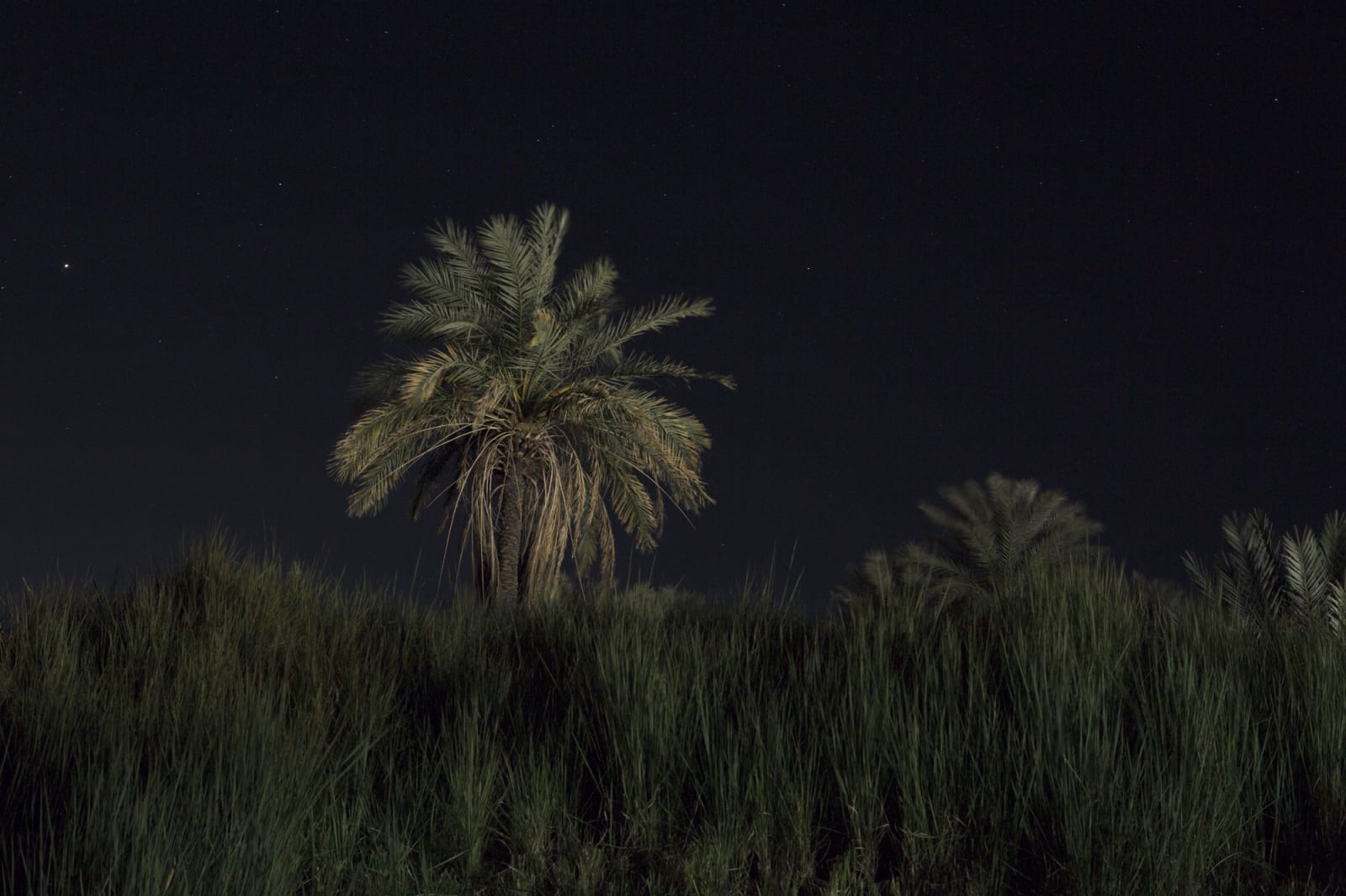 Juliette Agnel, Taharqa et la nuit #11, 2019