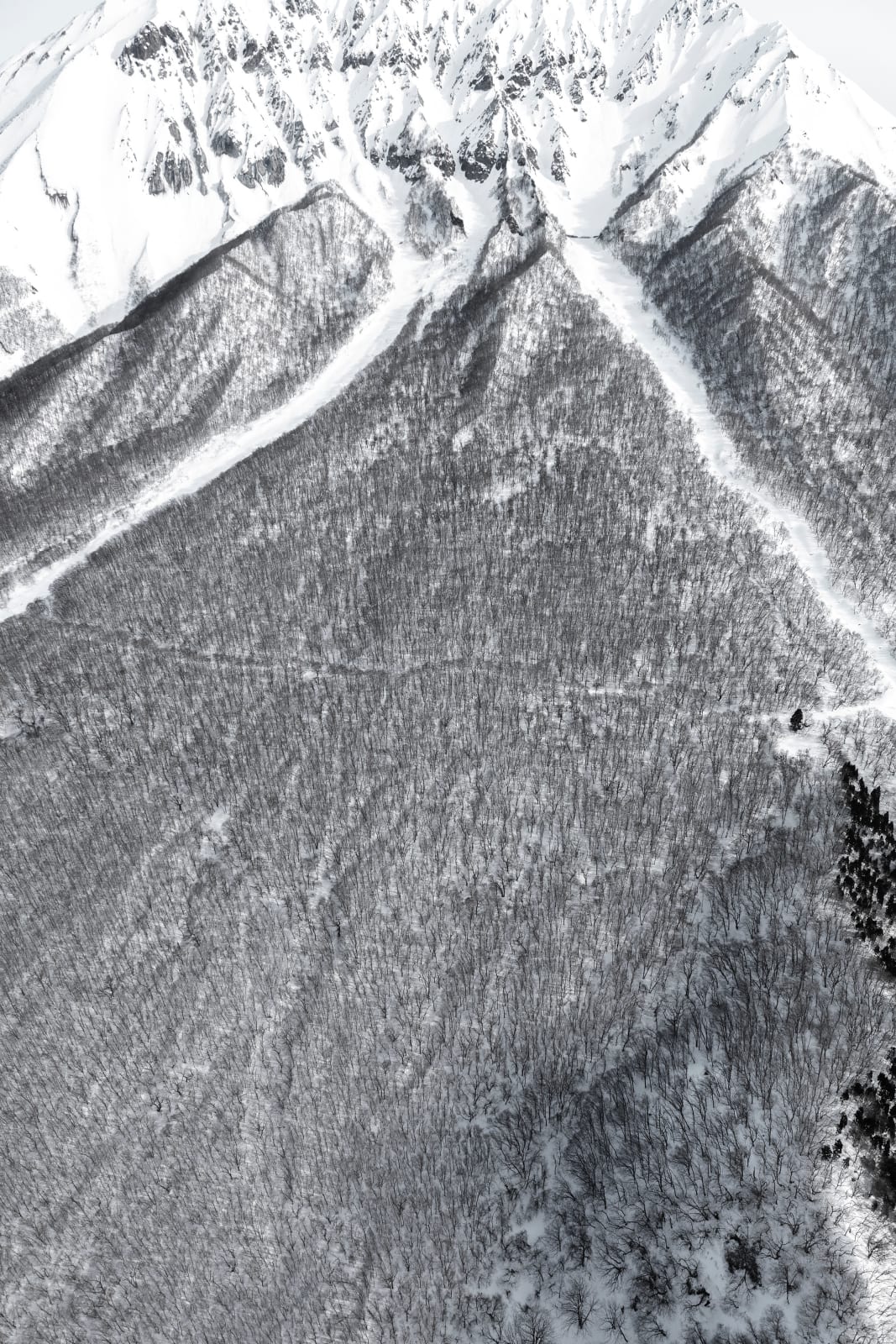 Mikiya Takimoto, Snow Mountain #05
