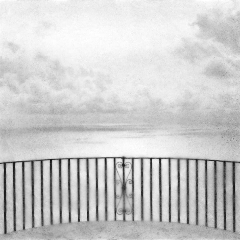 FLORE, Sans titre , 2012