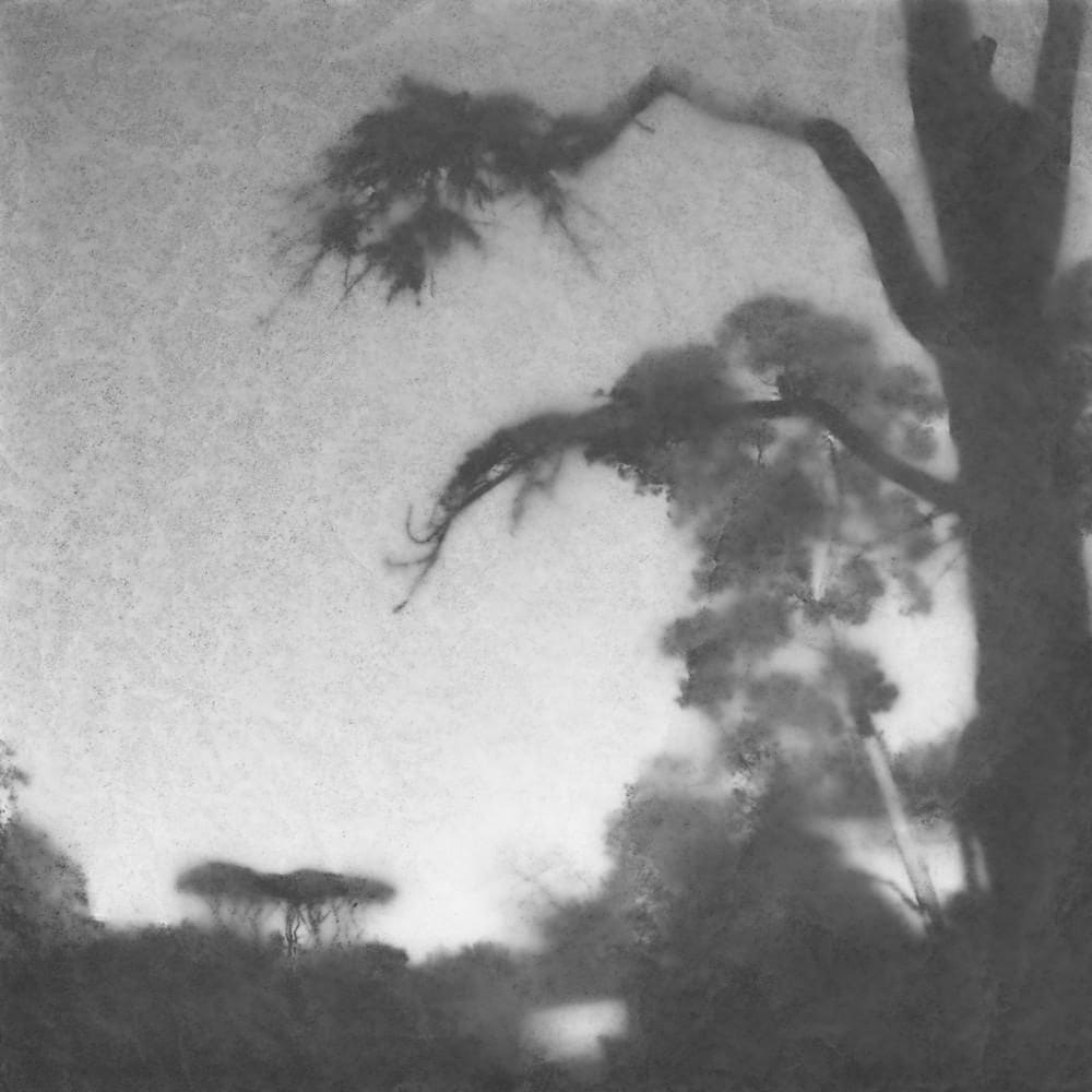 FLORE, Rome, je crois, 2012