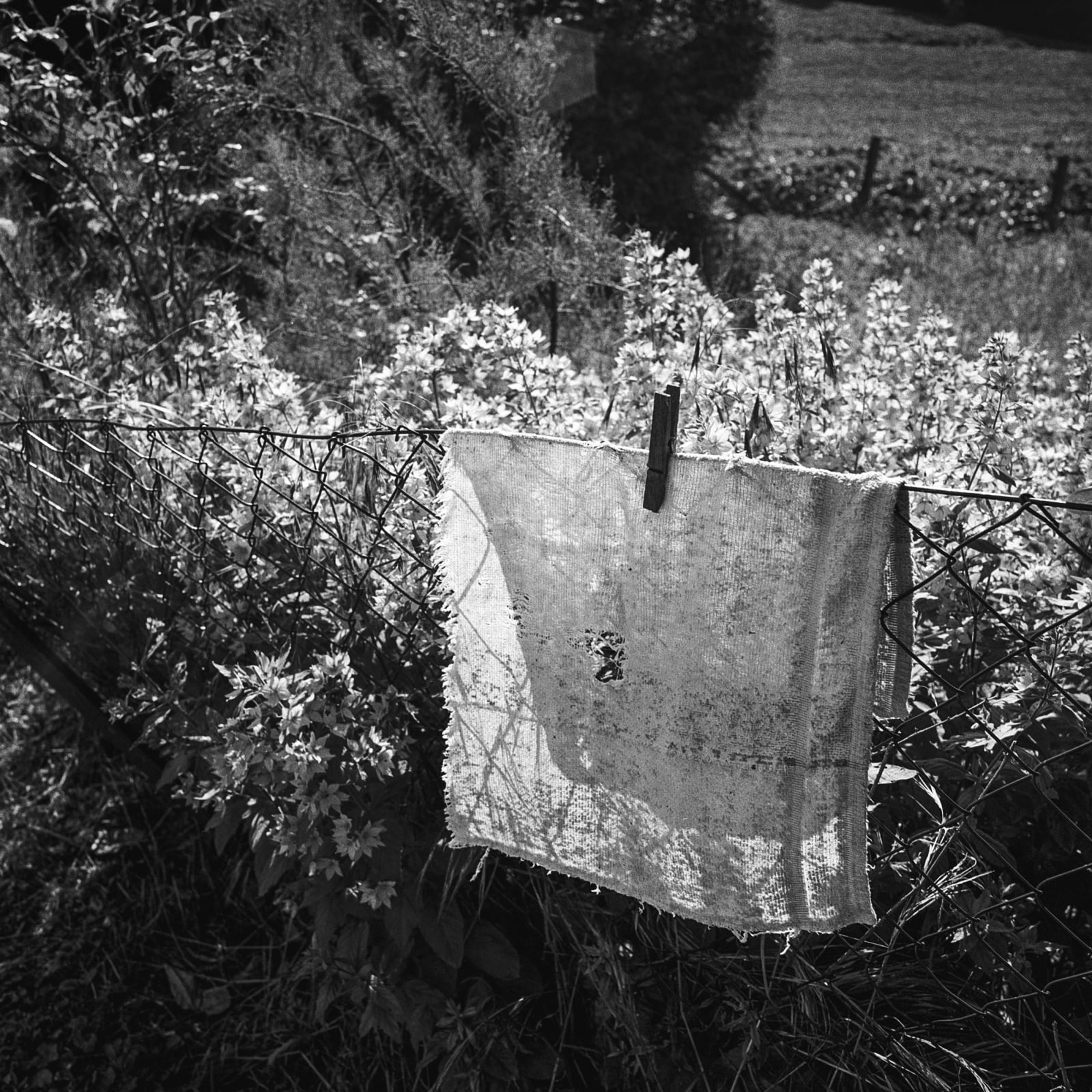 Anne Rearick, St. Aubin des Grois, Le Perche, 2021