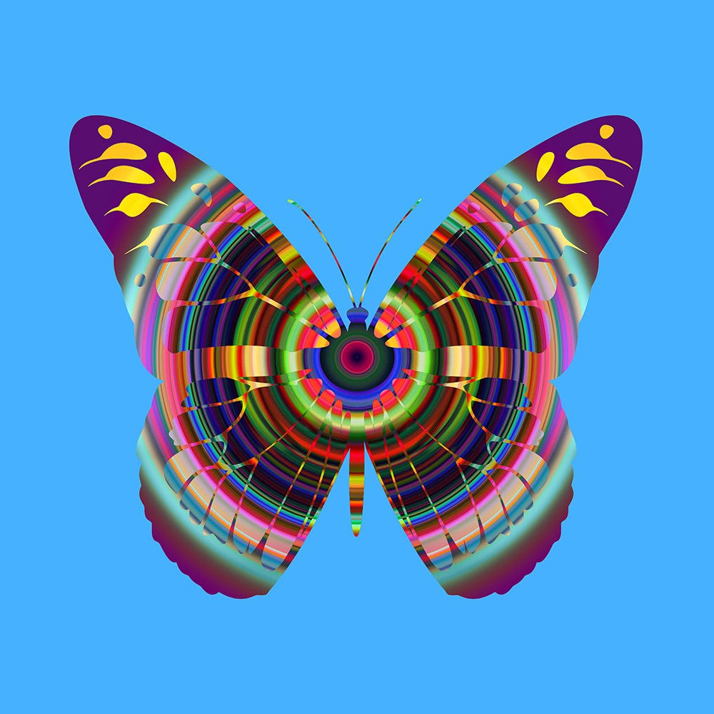 Franco DeFrancesca, Recollection, 2025