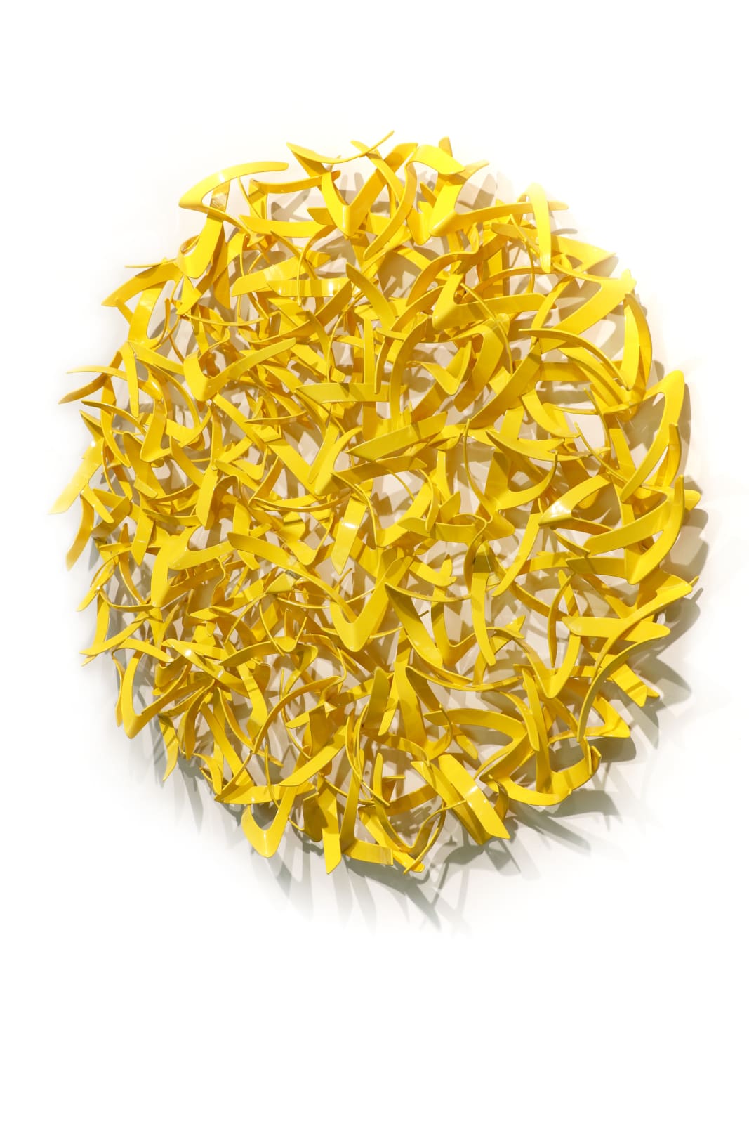 Matt Devine, Wilson's Warbler, 2024