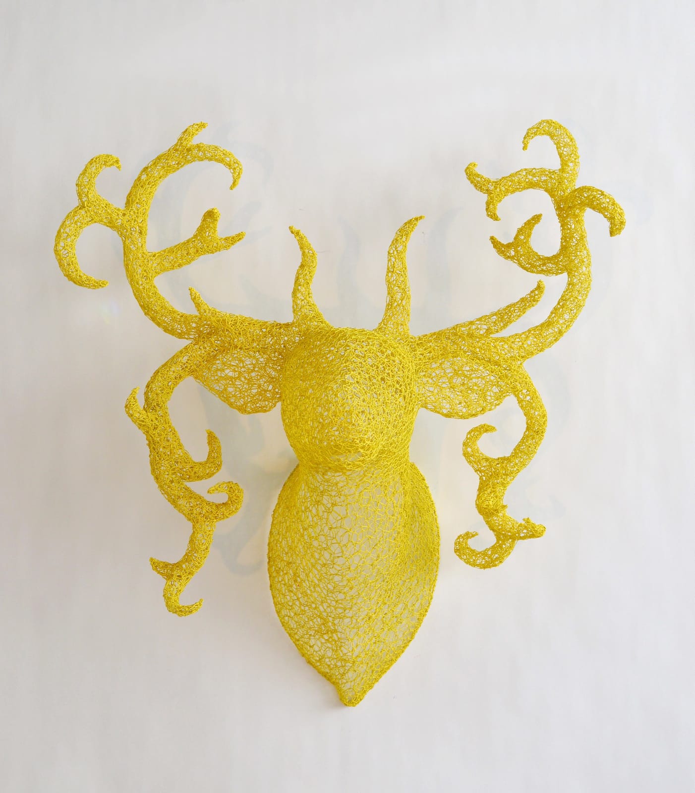 Sophie DeFrancesca, Blondes Have More Fun, 2013