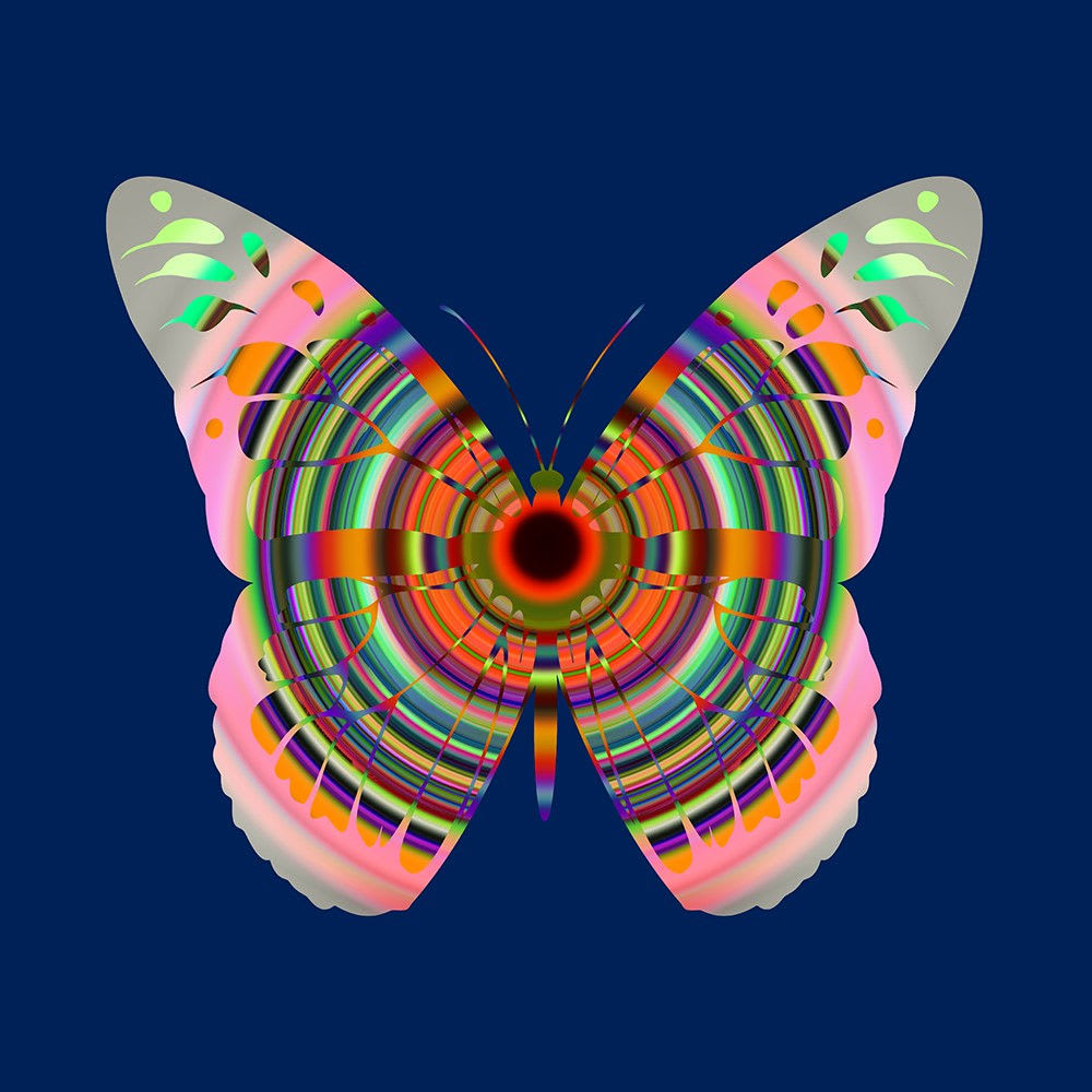 Franco DeFrancesca, Somasensory, 2025