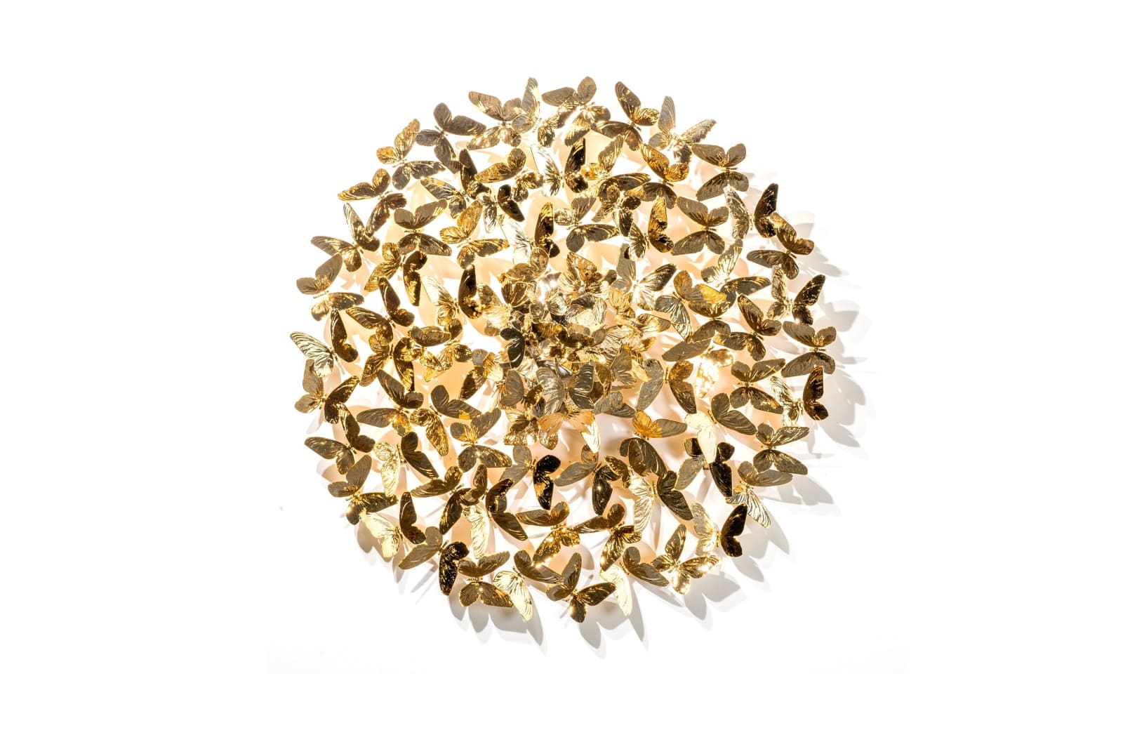 Roman Feral, CIRCLE OF LIFE GOLD 120, 2025