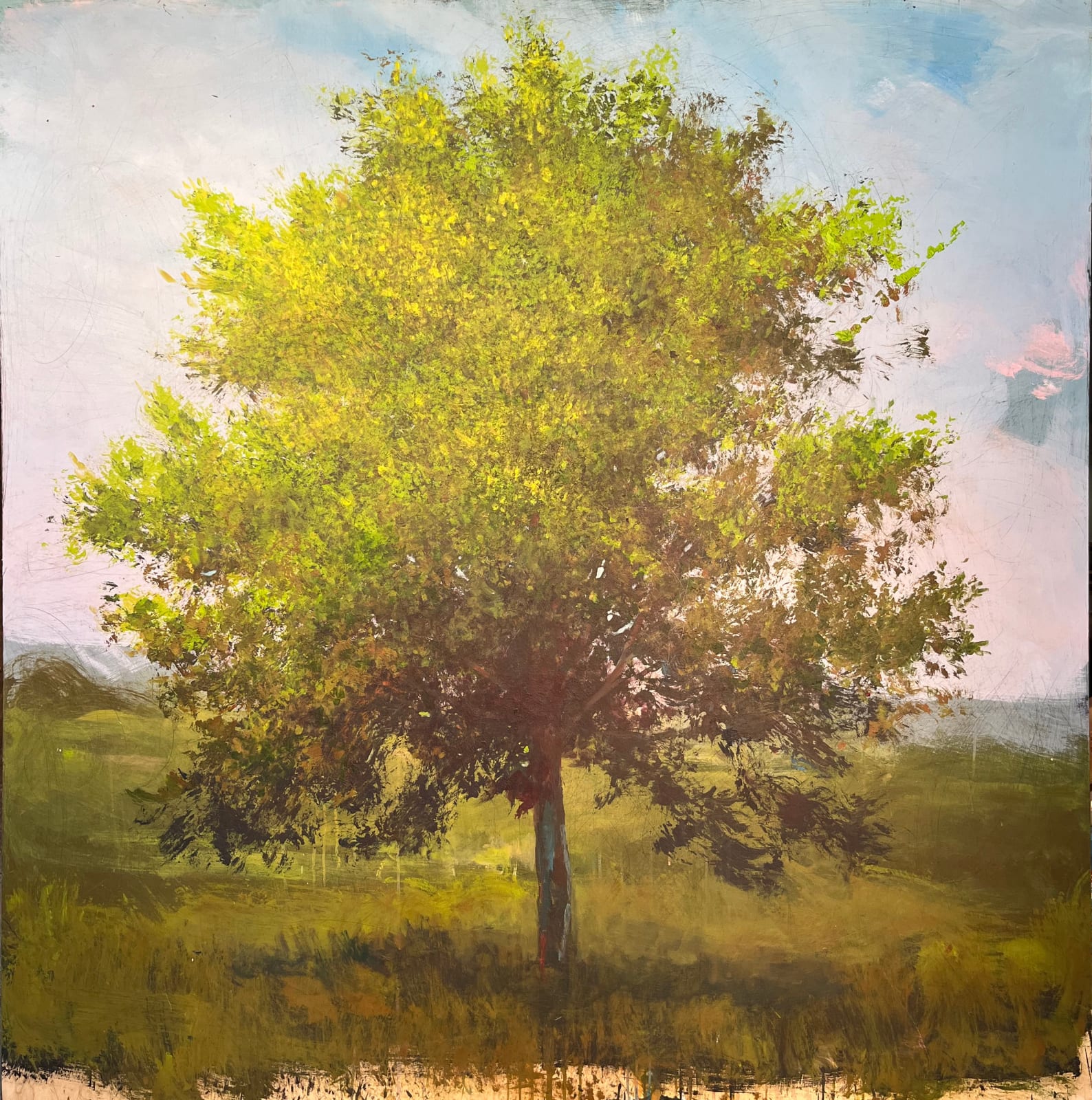 Peter Hoffer, Hesse, 2025