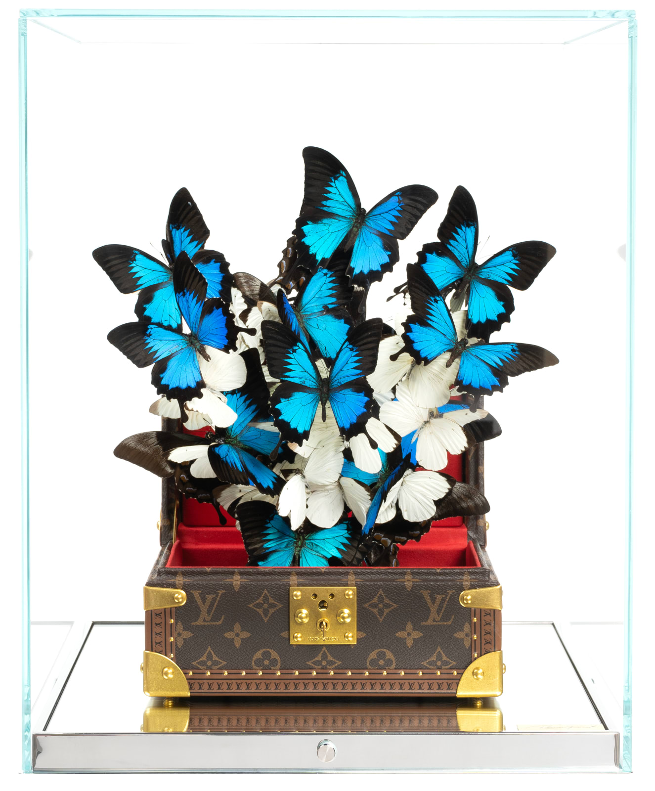 Roman Feral, LOUIS VUITTON TRESOR PURE INDONESIA, 2024