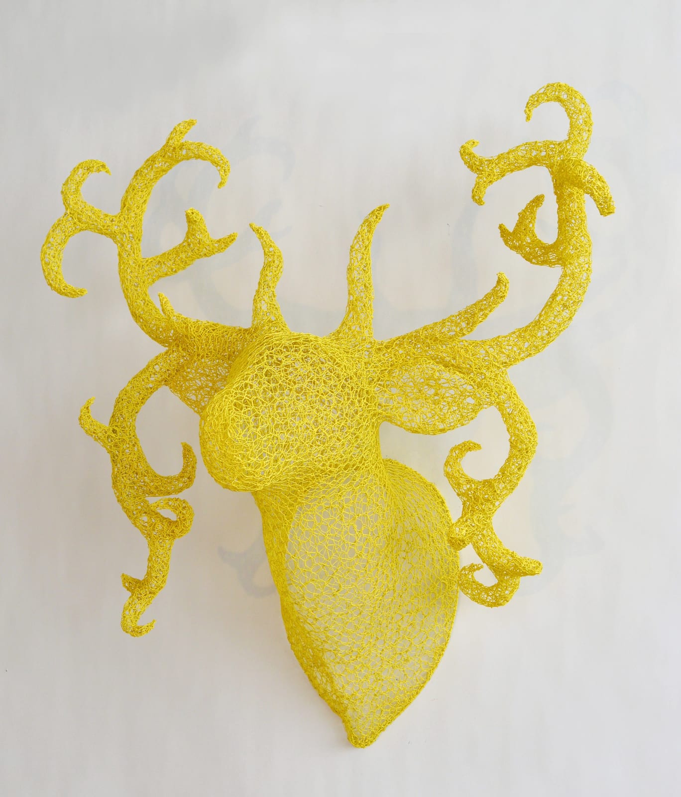 Sophie DeFrancesca, Blondes Have More Fun, 2013