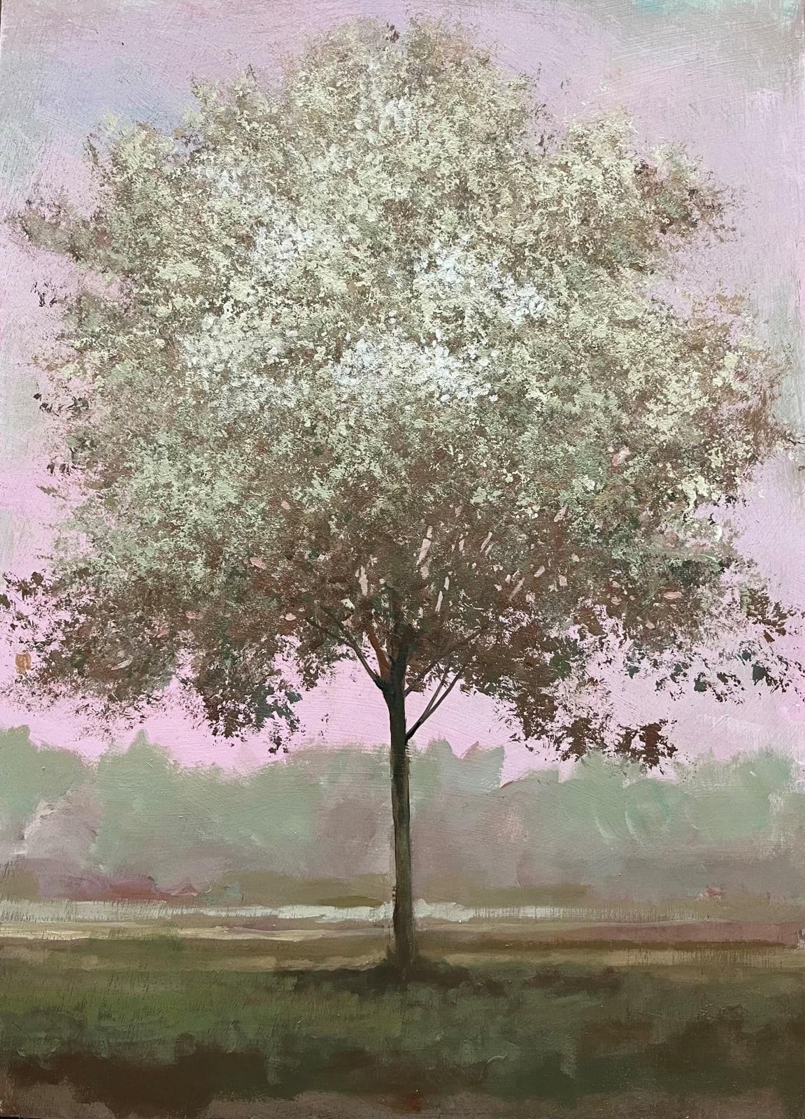 Peter Hoffer, White Ash, 2024