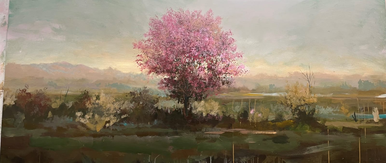 Peter Hoffer, Spring Almond, 2023