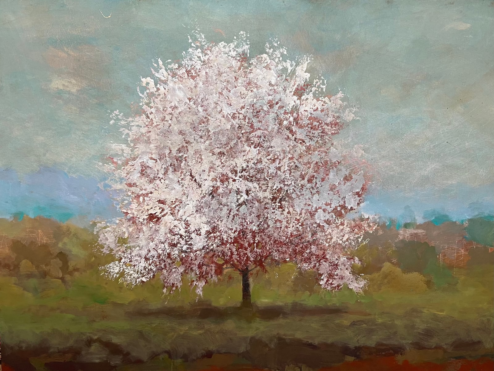 Peter Hoffer, Maiden, 2024