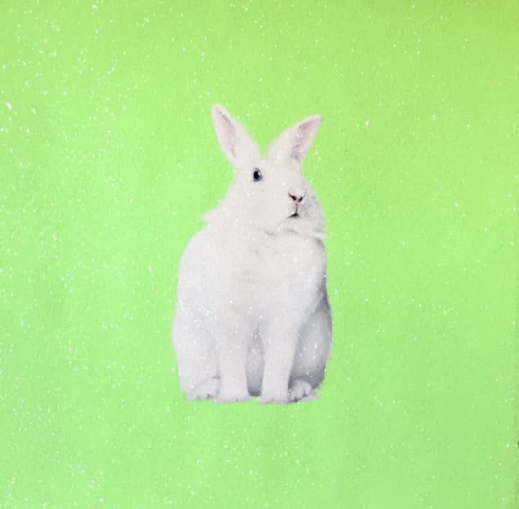 Paula Urzica, Light Green Bunny, 2022