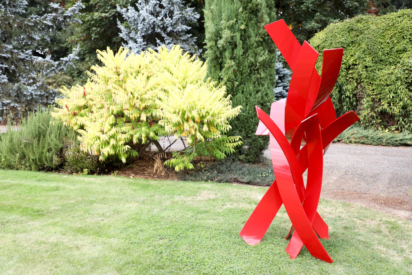 Matt Devine, RBG, 2020