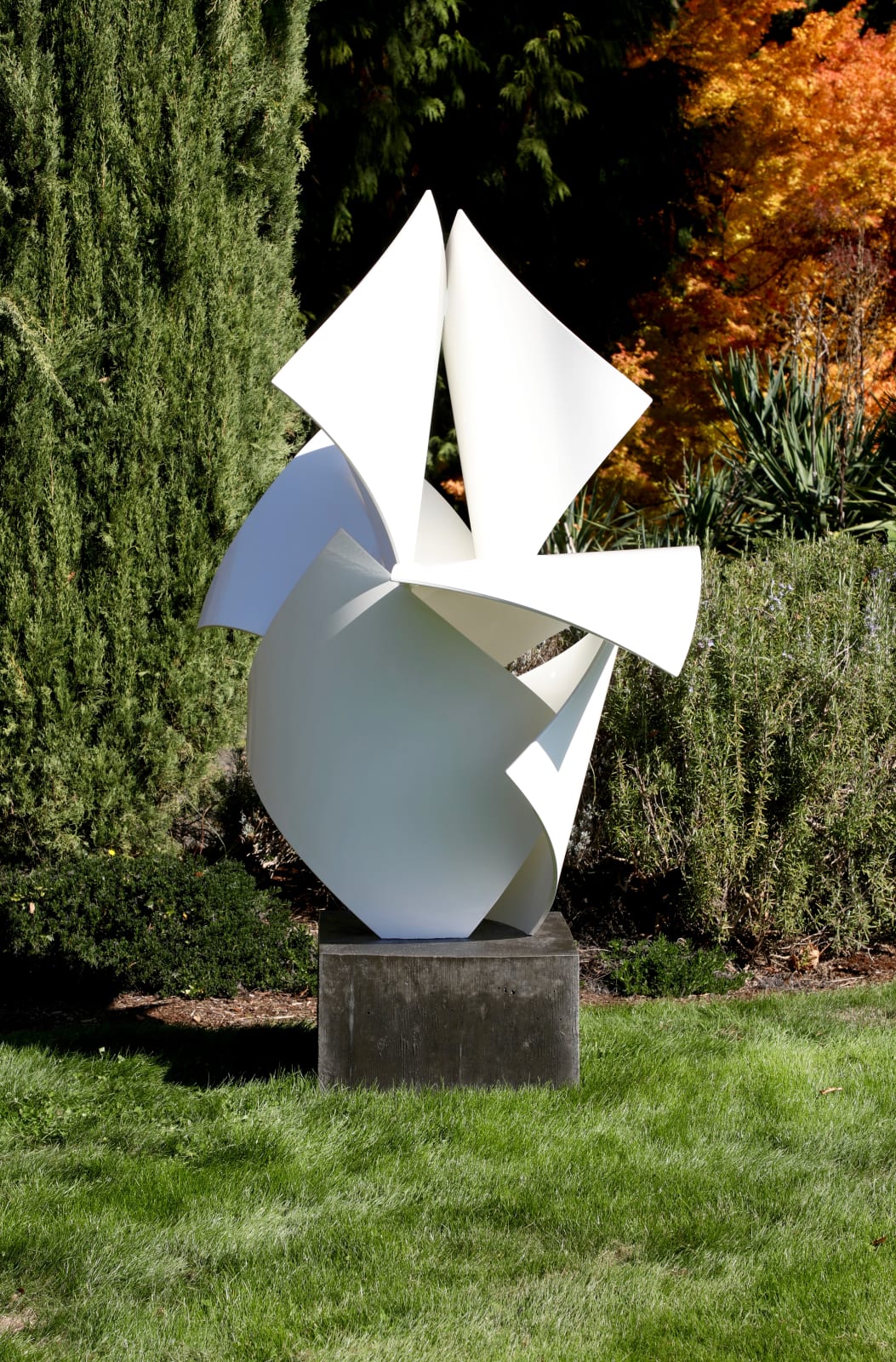 Matt Devine, 1763, 2019