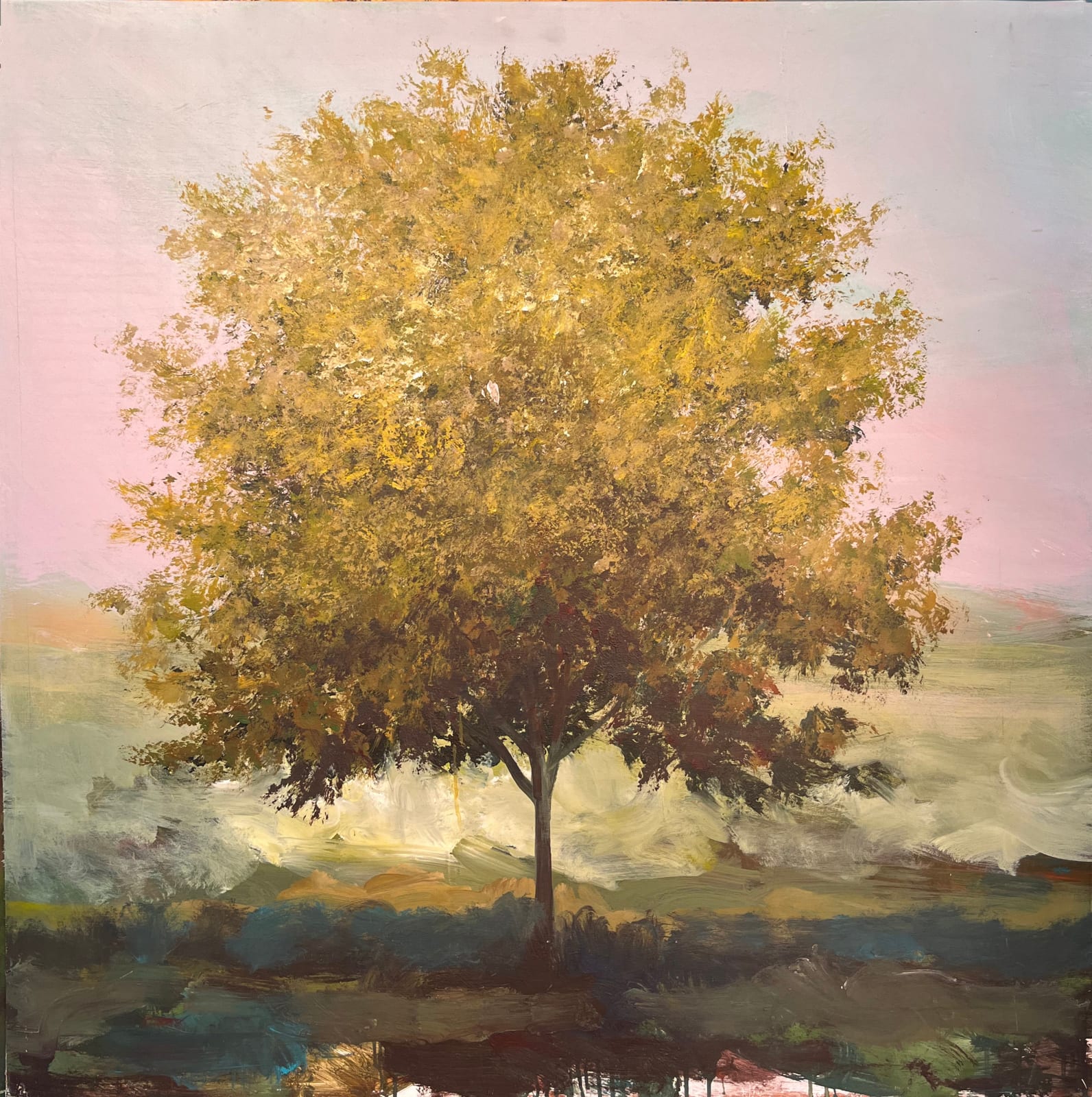 Peter Hoffer, Beauvary Maple, 2025