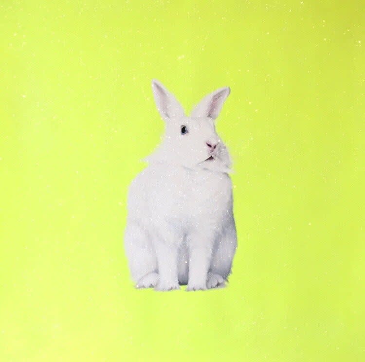 Paula Urzica, Neon Yellow Bunny, 2022