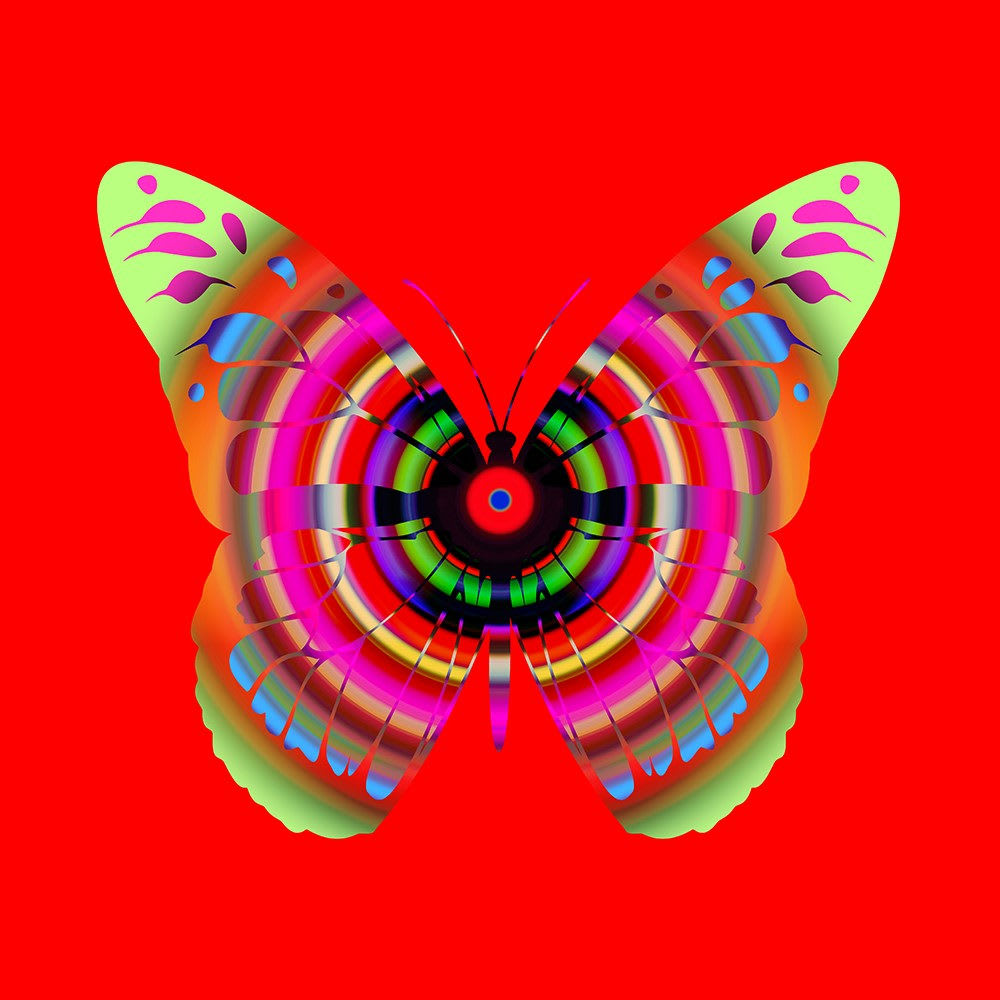 Franco DeFrancesca, Neurotransitory, 2025