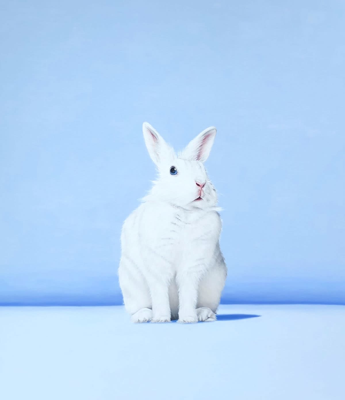 Paula Urzica, White Rabbit II, 2019