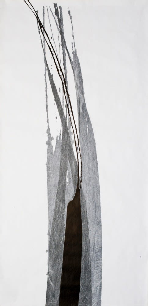 Qin Chong 秦沖, 22 January - Whatever, 2012