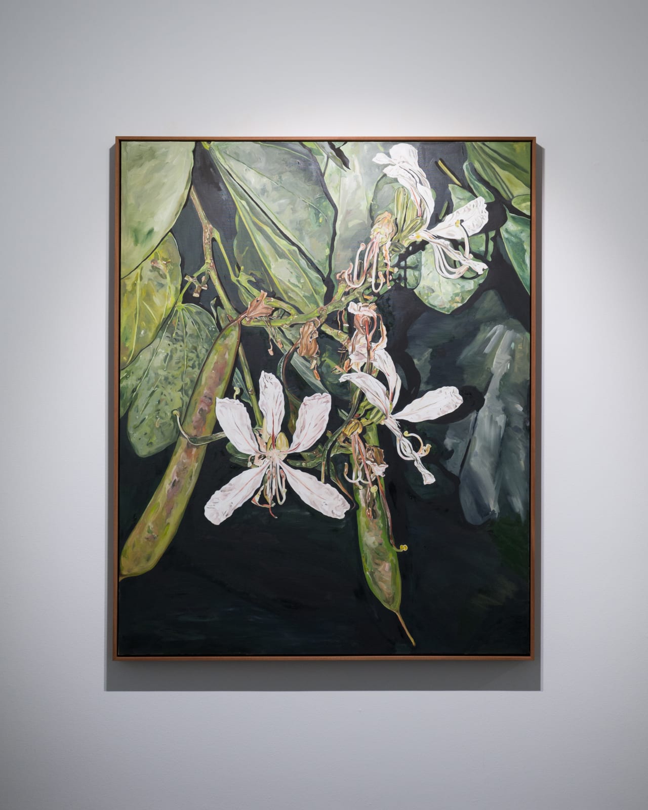 Tang Kwong San 鄧廣燊, Bauhinia Variegata I 羊蹄甲 I, 2024