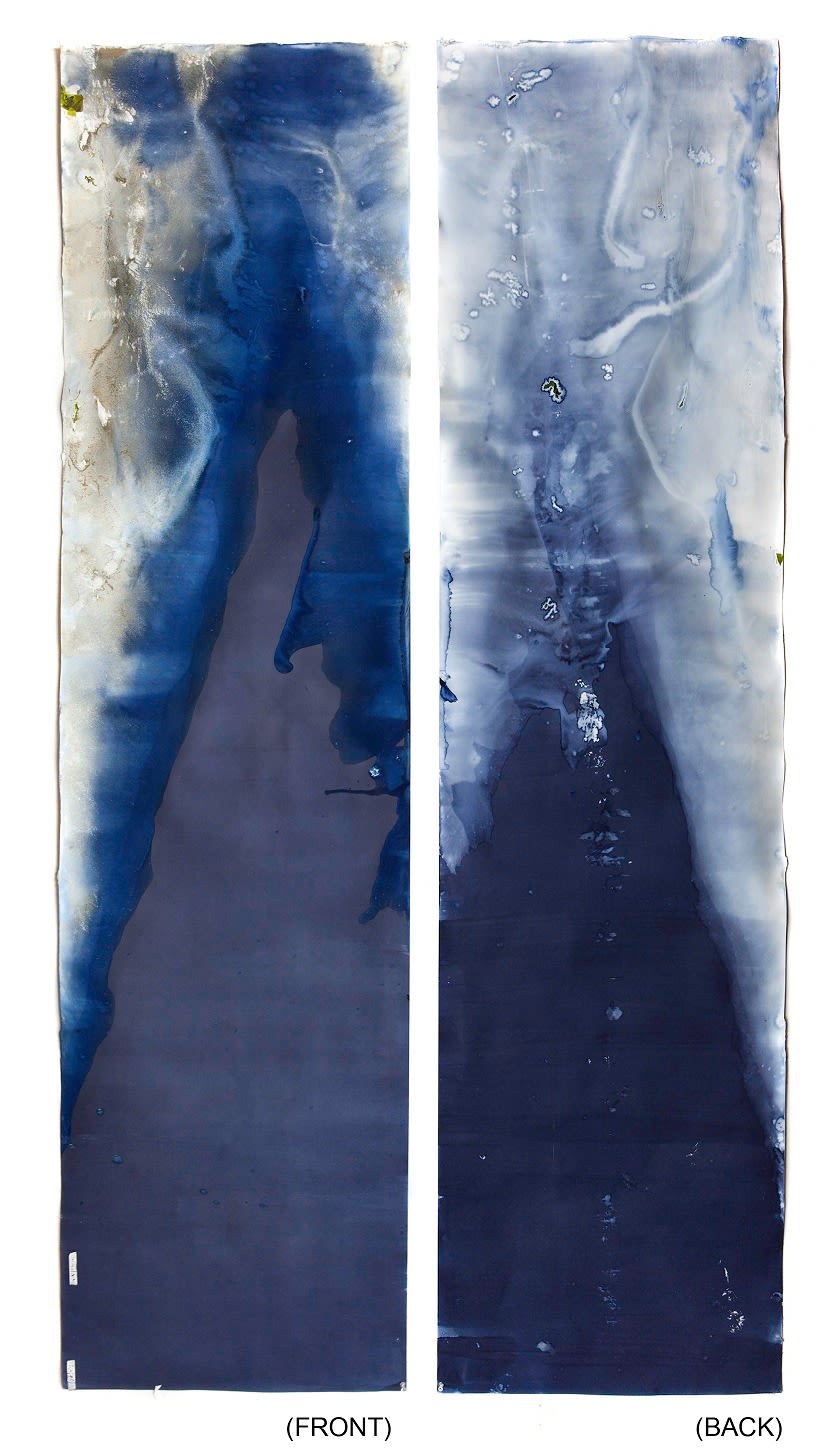 Meghann Riepenhoff 梅根·瑞普霍夫, Littoral Drift #226, 2015