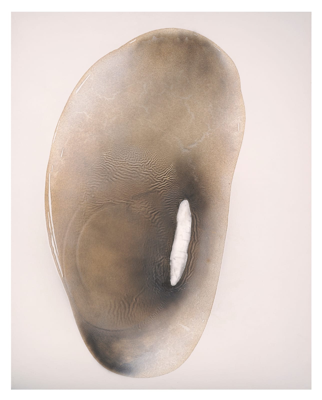 Stella Zhang 張爽, 0-Viewpoint-5-19 0-視點-5-19, 2011