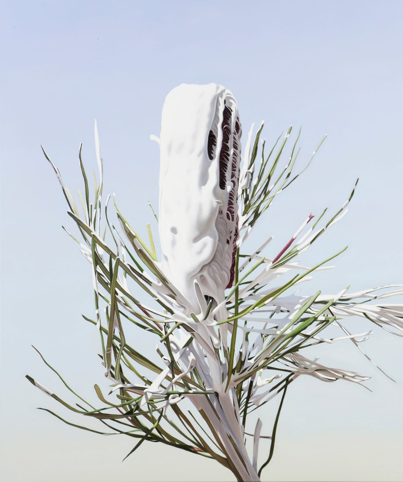 Juan Ford, A Blossom Abated, 2019
